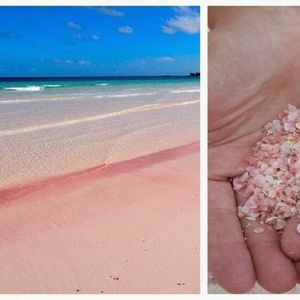 Najpiękniejsze rodzaje plaż i sposób w jaki powstały. Zielona, różowa, a może czarna?