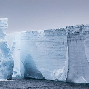 Gigantyczny lodowiec oderwał się od półki i odsłonił nieznany dotąd podwodny świat