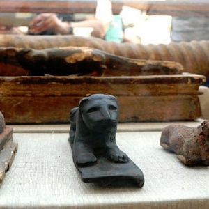 W 2500-letnim starożytnym egipskim grobowcu znaleziono dziesiątki zmumifikowanych kotów