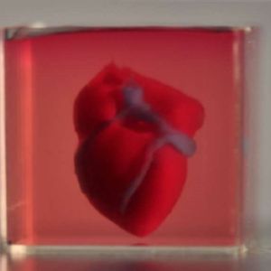 Naukowcy stworzyli pierwsze serce 3D wydrukowane z materiałów biologicznych pacjenta