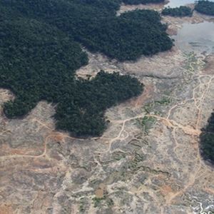 Amazonia osiąga punkt krytyczny. Płuca planety mogą zamienić się w martwą pustynię
