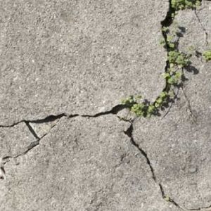 Naukowcy opracowali „żywy beton”. Materiał jest w stanie samodzielnie się zregenerować