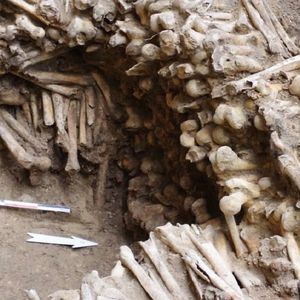 Średniowieczna ściana wzniesiona z ludzkich kości została znaleziona przez archeologów w Belgii