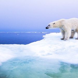 Nowe badanie sugeruje, że przed 2050 rokiem Arktyka latem będzie pozbawiona lodu