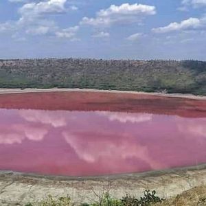 Jezioro Lonar liczące 50000 lat zadziwiło naukowców nagle zmieniając kolor na różowy