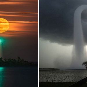 20 urokliwych zdjęć, które dowodzą, że natura zawsze ma nam coś do pokazania