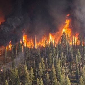 Lasy na Syberii znowu płoną. To jedne z najgorszych pożarów zaobserwowanych w ciągu ostatnich lat