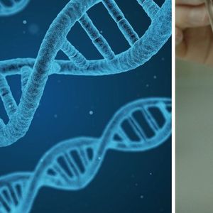 Kwas deoksyrybonukleinowy buduje każdą żywą istotę. Czym właściwie jest DNA?