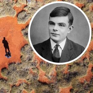 Tajemnicze kręgi na pustyni wyjaśnione przez teorię Alana Turinga sprzed 70 lat