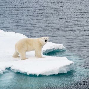 Nasza planeta traci lód w rekordowym tempie. Konsekwencje będą odczuwalne na całym świecie