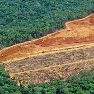 Nowe badanie ujawnia, że brazylijska Amazonia uwalnia więcej dwutlenku węgla, niż przechowuje