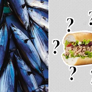 Analiza laboratoryjna sugeruje, że w kanapkach z tuńczykiem popularnej sieci nie ma tuńczyka
