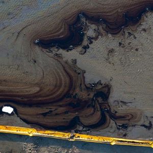 Katastrofa ekologiczna w Kalifornii. Wyciek ropy zanieczyszcza południową część wybrzeża