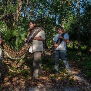 Gigantyczny pyton birmański został schwytany na Florydzie. Prawdziwy rekordzista