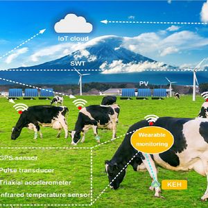 Krowy noszące smartwatche i inteligentne farmy to przyszłość, twierdzą naukowcy
