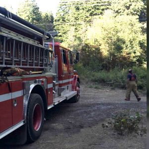 Strażacy walczyli z ogniem w środku lasu. Niespodziewanie zza drzew wyłonił się…