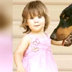 Pies po przejściach ratuje 17-miesięczne dziecko przed śmiercią. Zaczął wyć jakby ktoś go ranił nożem