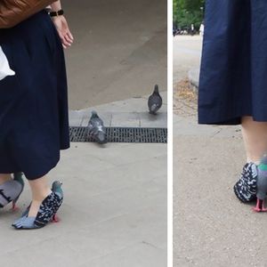 Własnoręcznie zrobiła buty, które wyglądają jak gołębie! Teraz chodzi w nich na co dzień!