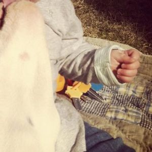 Gdyby rodzice nie pozwolili zbliżyć się pitbullowi do dziecka, te zdjęcia by nie powstały…