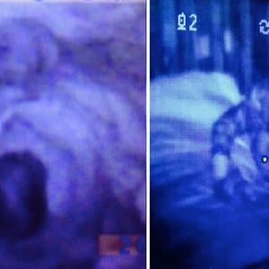 23 przerażające zdjęcia dzieci, wykonane w środku nocy za pomocą elektronicznej niani