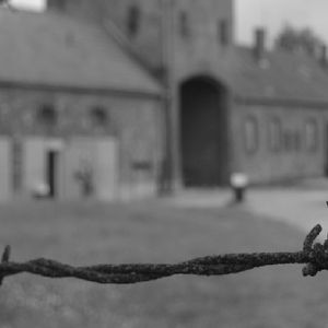 Dramatyczne wspomnienia więźniów z Auschwitz. „Codziennie myślałem, że dziś mnie zabiją”