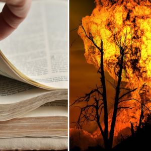 Ludzie czytają ten fragment Apokalipsy św. Jana z przerażeniem. „Nasze dni są policzone”