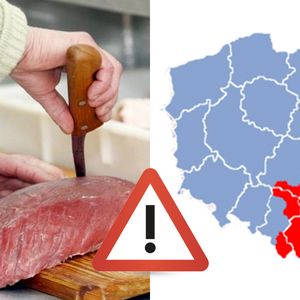 Mieszkańcy małopolscy powinni być ostrożni. Dwie tony chorego mięsa trafiło do sklepów!