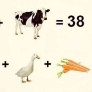 Najinteligentniejsze osoby rozwiązują tę zagadkę w 10 sekund. Ile zajmie Tobie?