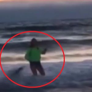 13-latka robiła selfie w wodzie, gdy nagle zaatakował ją lew morski