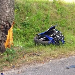 32-letni motocyklista zderzył się z sarną i uderzył w drzewo. Zginął na miejscu