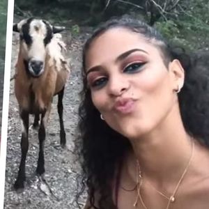 Selfie z kozą