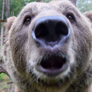 Zoo w Poznaniu podzieliło się wesołą nowiną. „Wzruszenie odbiera nam mowę”