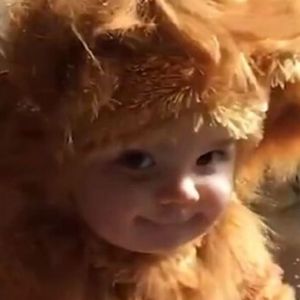 11-miesieczne dziecko bawilo sie z lwem