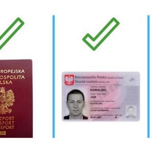 Paszport polsatu