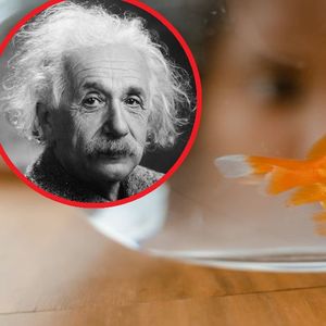 Zagadka Einsteina o hodowaniu rybek