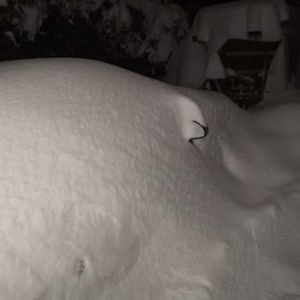 Samochody toną w śniegu
