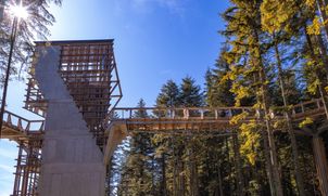 Spacer w koronach drzew - 5 najciekawszych tras na lato 2026
