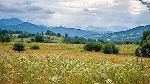 Łatwy spacer z panoramą Tatr: Bachledzki Wierch i Antałówka