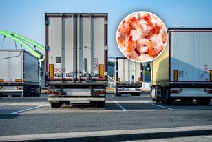 Zatrzymali 20 tys. kg mrożonek z Indii. Oto co wykryli