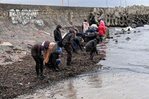 Łatwo pomylić z bursztynem. Na bałtyckich plażach czyha wielkie niebezpieczeństwo