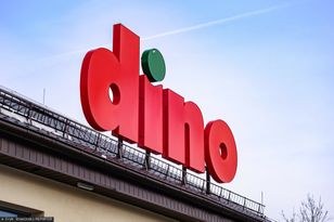 Oczekiwali reakcji ministerstwa ws. Dino. Resort zabrał głos