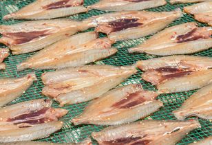 Roach fish makes a comeback on Polish tables after decades of neglect