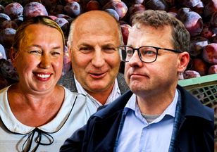 Biuro Romanowskiego rozdaje śliwki. Nikt nie wie, kto je kupił