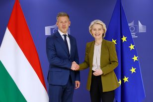 Polacy o wyborach na Węgrzech. Wyrazili swoje zdanie w sondażu
