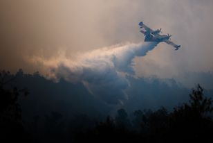 Pożar w Andaluzji: 8 tys. ha spłonęło pod Niebla, 500 ratowników w akcji
