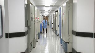 20-latek zaatakował czworo medyków na SOR w Częstochowie, jedna osoba hospitalizowana