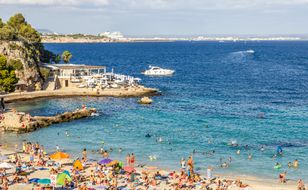 Fish biting tourists on Majorca beaches, some left with bleeding wounds