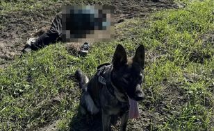Senior leżał na polu. Finał nocnych poszukiwań 86-latka