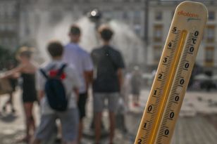 Ekspert alarmuje po rekordzie upału. "Polska nie jest gotowa"