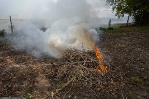 Ognisko na działce. To może być kosztowne: mandat do 500 zł, grzywna do 5 tys.